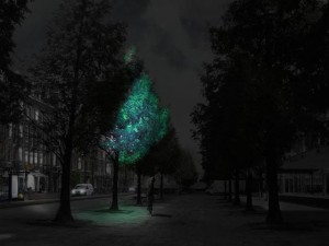 glowing tree